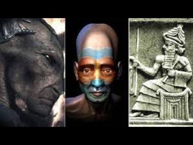 Second species of Coneheads Humanoid Beings Rule The World Financially From The Vatican