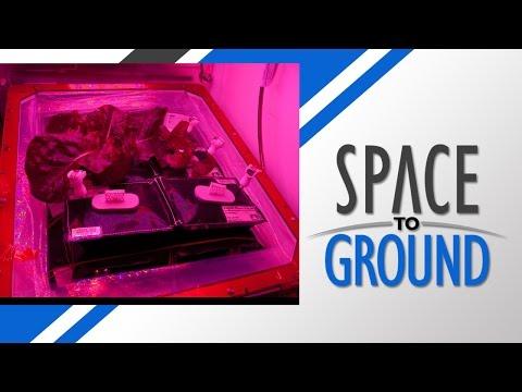 Space To Ground: Space Gardening: 7/31/2015