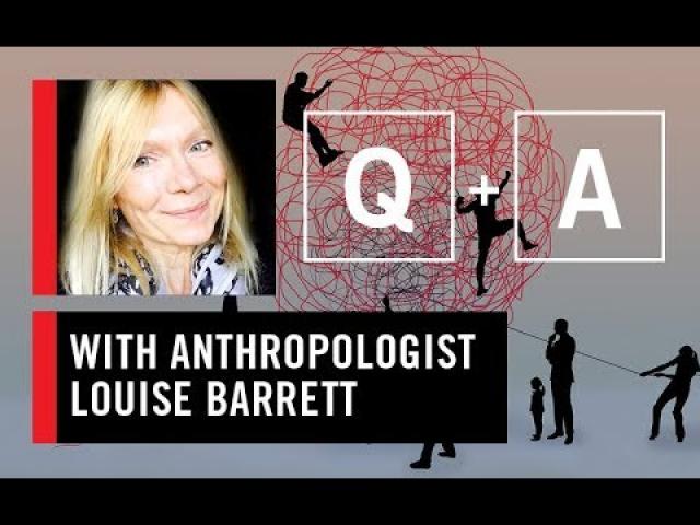 WS CONNECT live Q&A wth Louise Barrett