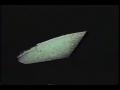 Christmas Eve From Lunar Orbit - Apollo 8 Flashback | Video