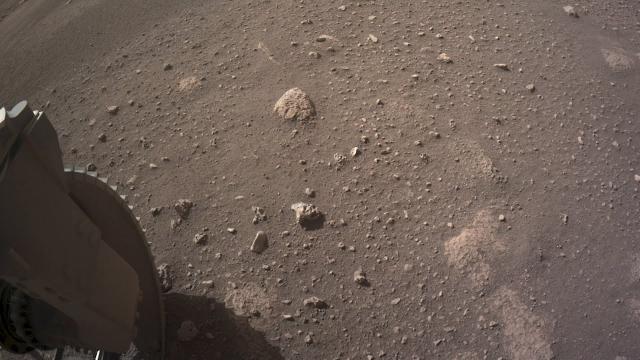 Perseverance delivers new Mars surface pics, including rocks in wheel!
