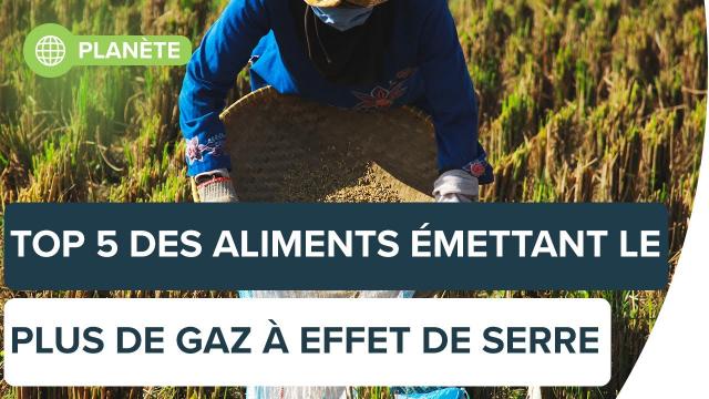 Les aliments qui contribuent le plus au changement climatique | Futura