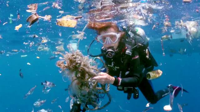 Changing the Nature of Nature with Sylvia Earle