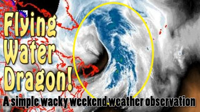 A flying Water Dragon! - A Simple Wacky Weekend Weather Observation: