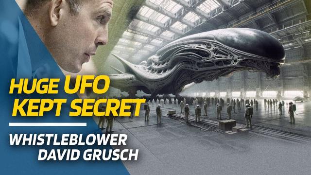 WHISTLEBLOWER SAYS US IS HIDING UFO THE ‘SIZE OF A FOOTBALL FIELD’ ????