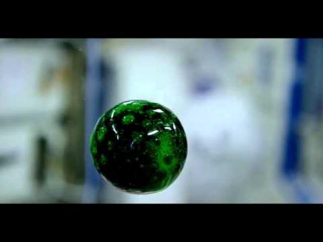 A Live Alien? No Just A Colorful Zero-G Fizzy Blob | 4K Video