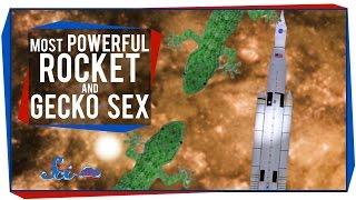 The Most Powerful Rocket Ever, and Gecko Sex in Space