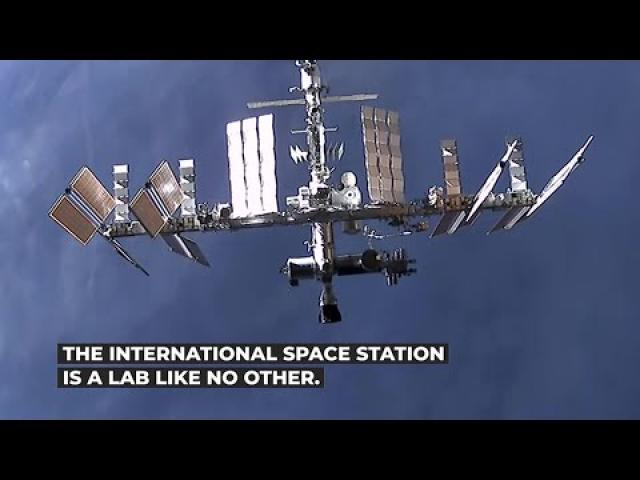 Cygnus NG-16 mission to space station - What experiments are onboard?