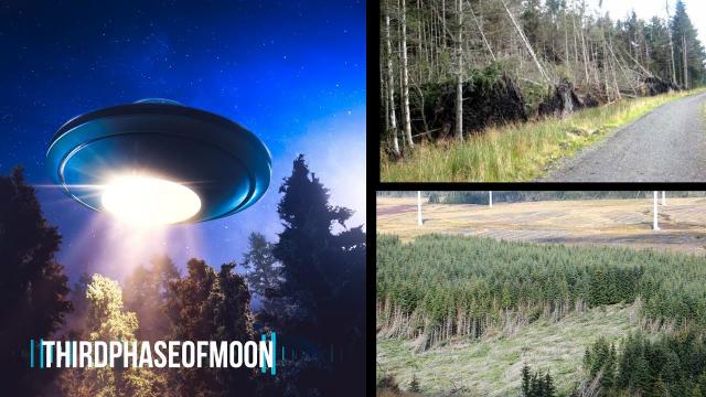 What's Really Going On With Recent UFO Crash Reports? SPECIAL REPORT!