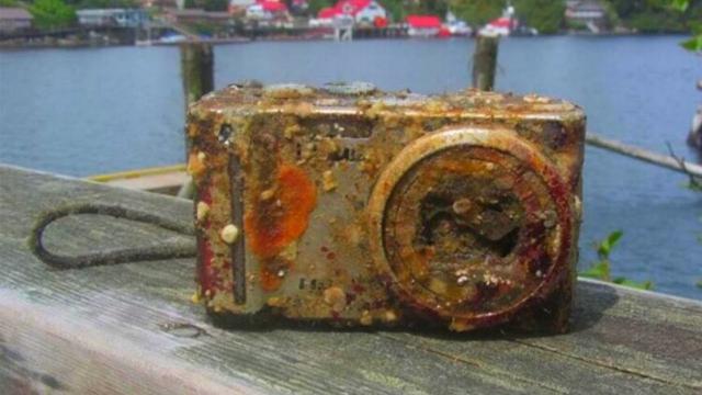 Divers Find An Old Camera Lying On The Ocean Floor, Then They Saw The Pictures