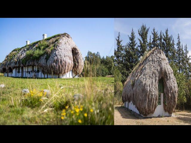 Yes They Are Real – Seaweed Homes