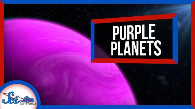 The Key to Finding Life Elsewhere in the Universe: Purple Planets?!?