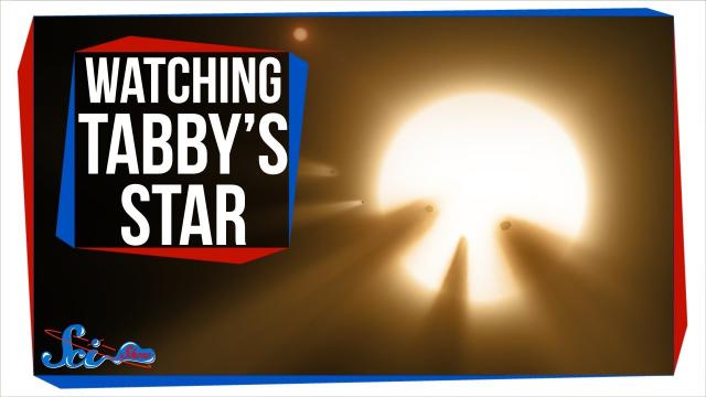 Why Everyone Was Watching Tabby's Star Last Weekend