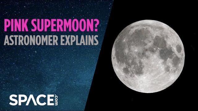 Pink Supermoon? Astronomer explains what it is