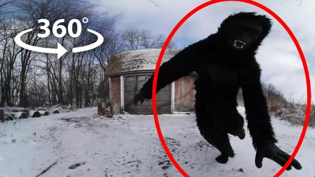 360 Bigfoot | VR Horror Experience