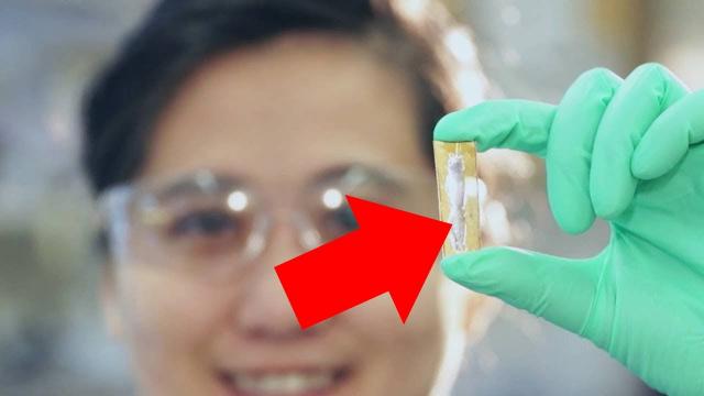 Student Accidentally Created Rechargeable Battery That Lasts for 400 Years