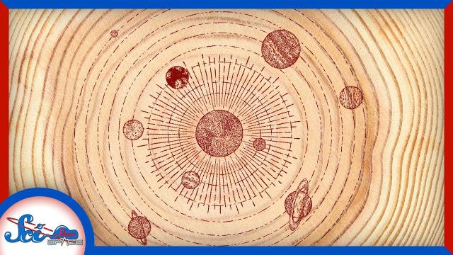 The Astronomical Records in… Trees?