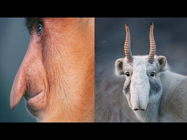 This Man Spends 2 Years Exploring The Wild To Do This