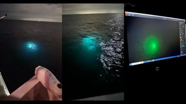 Member of a research vessel studying bioluminescence in the Gulf of Mexico filmed a USO