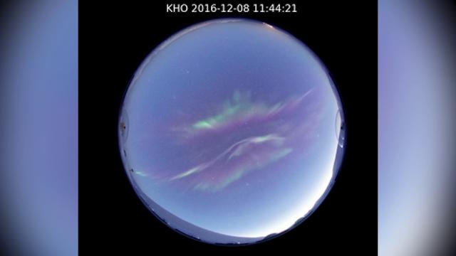 Daytime Auroras Captured Over Svalbard