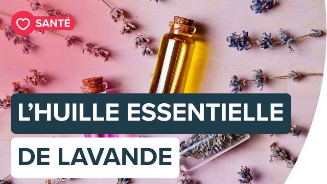 Les vertus de l'huile essentielle de lavande | Futura