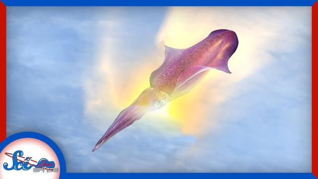 Spacecraft Need New Heat Shields. Cue the Cuttlefish?