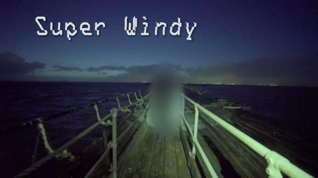Birnbeck Pier DANGEROUSLY COLLAPSING windy night visit
