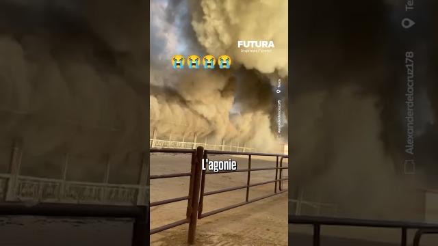 Le son de 18 000 vaches qui agonisent lors d’un méga incendie d’un élevage au Texas…