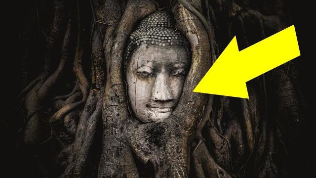 When This Sacred Buddha Statue Was Damaged, The Real Treasure Hidden Inside Was Revealed