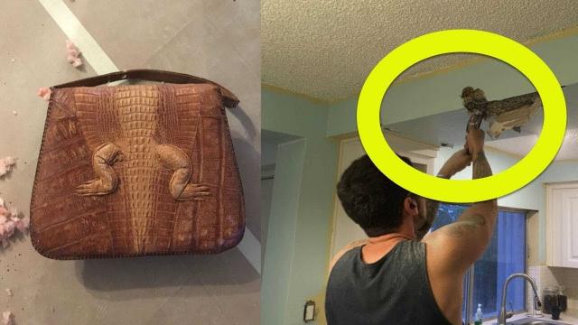 This Man Was Cutting Into His Kitchen Ceiling … He Was Shocked When He Saw What Was Hidden There