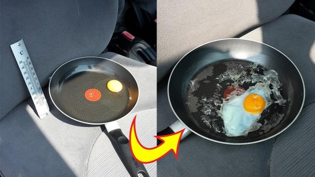 Man leaves raw egg in his car on a hot day to show why you should never leave your dog there