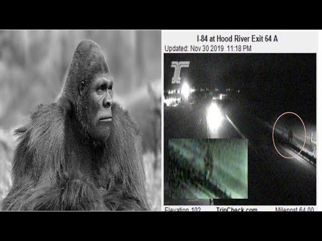 Traffic cam image corroborates Bigfoot sighting