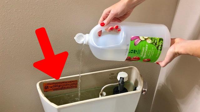 Put Vinegar Soaked Rag Into a Toilet, and Watch What Happens !
