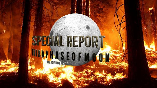 Forest Fire Thirdphaseofmoon Live Report Neighborhood in Jeopardy!