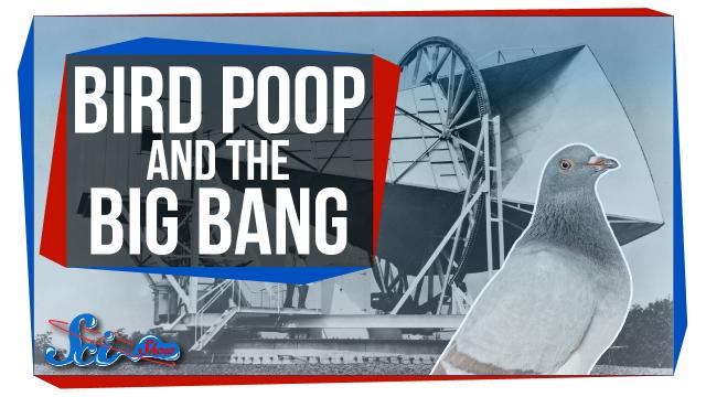 PD4001 Poop Bang final proof v2How (a Lack of) Bird Poop Proved the Big Bang