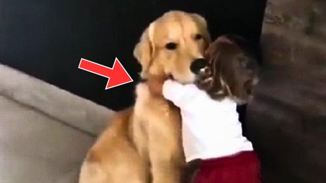 Girl Keeps Hugging Dog Before Being Put To Sleep. Then Vet Says: "Something Is Wrong!"