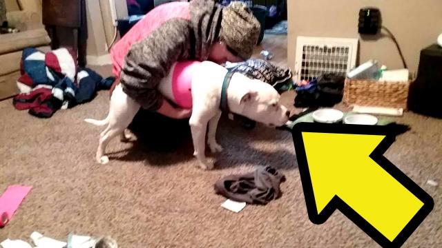 Her Newly Adopted Dog Gave Off A Foul Smell That Resulted In The Police Stepping In