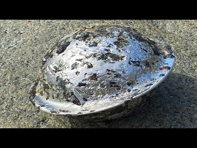Orb Discovered Crashed On Beach In Norway