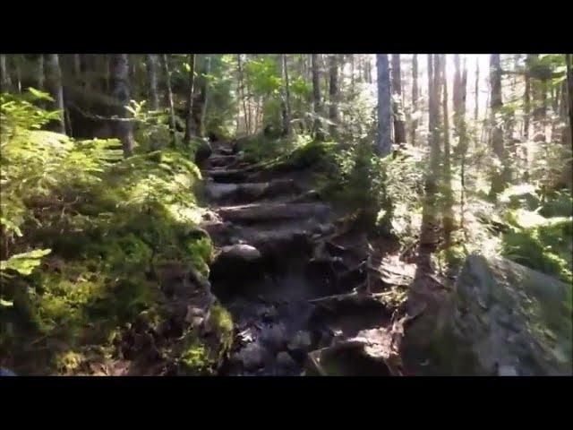 Hiker hears terrifying whistling sound while hiking up Mount Washington