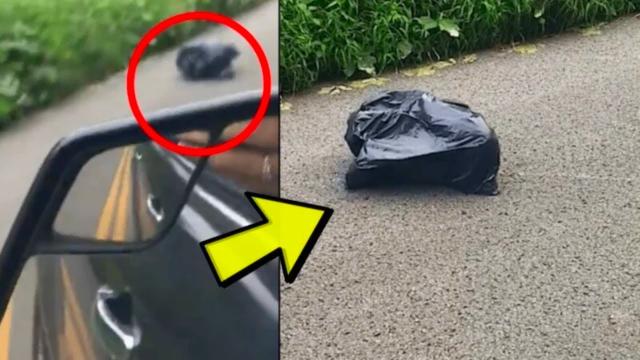 Mom Follows Daughter Who Disposes of Trash Bag  When Mom Looks Inside She Discovers Dark Secret