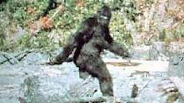 Most Believable BIGFOOT Sightings | Bigfoot Hiding Behind The Trees Caught On Camera