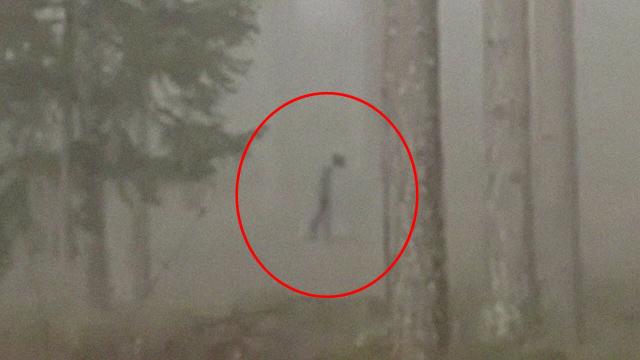 Alien Sighting Or Real Ghost Sighting | Two Alien Like Creature Caught On Camera | Scary Videos