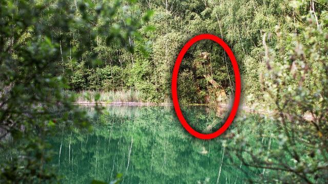 Man Hides Giants In The Forest That He Makes From Wood