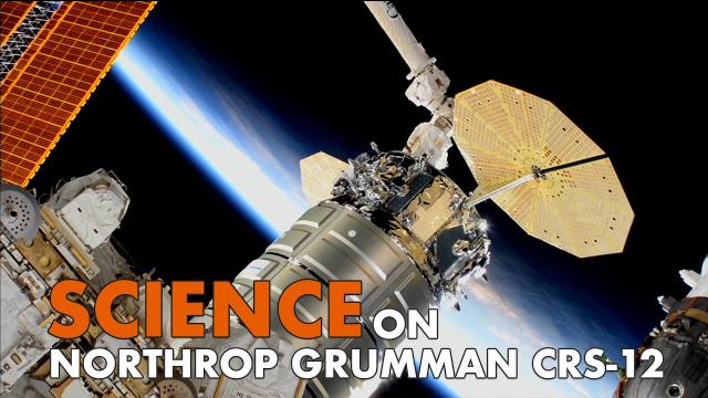 Scientific Investigations Set for Space on Northrop Grumman CRS-12