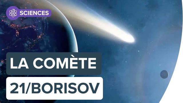 Comète 2l/Borisov : quel est cet objet interstellaire ? | Futura