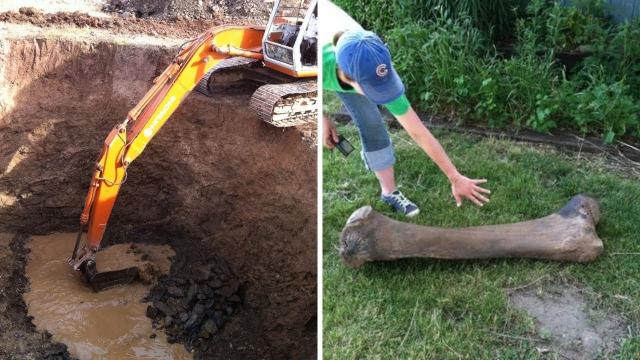 Iowa Farmer Makes A Life changing Discovery In His Backyard While Picking Up Berries