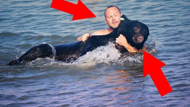 This Bear Was Drowning In The Ocean. You Won’t Believe What This Guy Did About It.