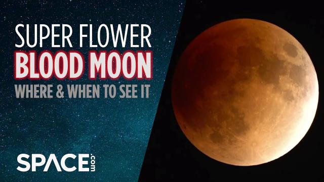 Super Flower Blood Moon! Where and when to see it