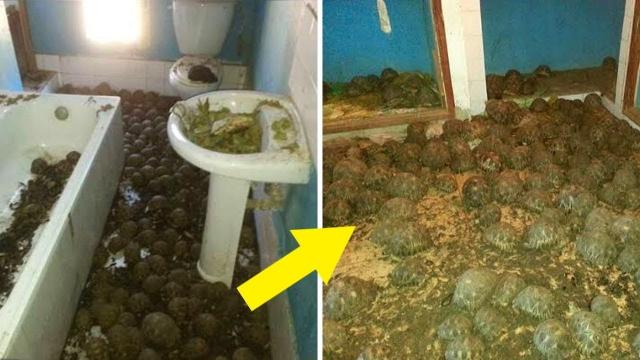 Cops Called to Investigate Smell from Abandoned House Didn’t Expect to Find This