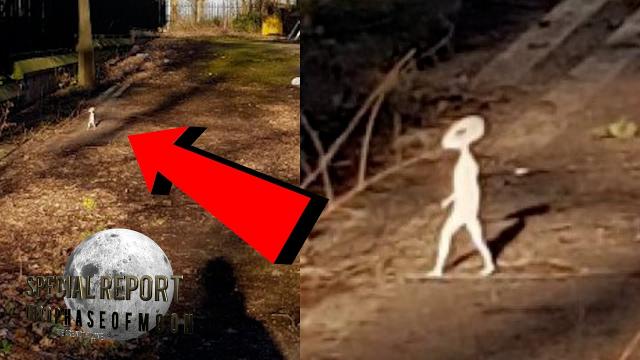 WHOA!!! Strange Cryptid Caught On Camera & UFO's BUCKLE-UP!!